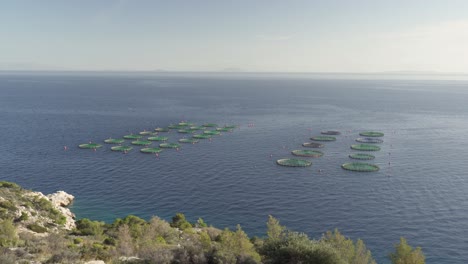 Piscicultura-Griega-En-Jaulas-Redondas-En-El-Golfo-De-Egina,-Mar-Mediterráneo-En-Grecia