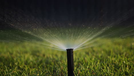 La-Boquilla-De-Riego-Automático-Se-Eleva-Desde-El-Suelo.-Un-Chorro-De-Agua-A-Presión-Riega-El-Césped-Verde