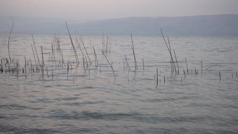 See-Genezareth,-Israel-Von-Der-Küste-Aus