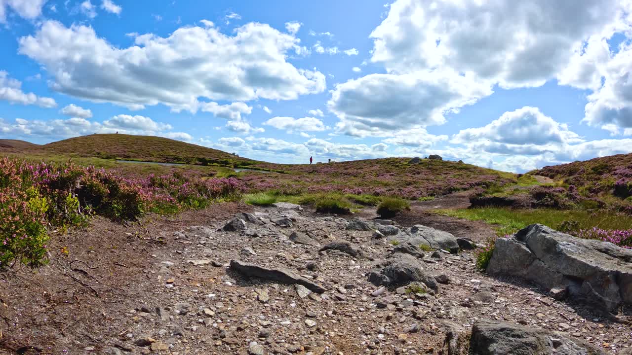 Steady camera glides along rocky path through heather, revealing scenic hills and dramatic clouds