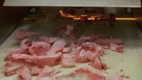 meat on a conveyor line in a food factory