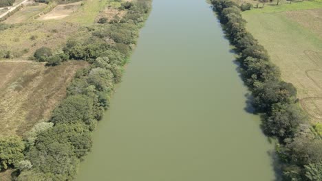 riparian forest of a large green river with pasture deforestation on the side with aerial view