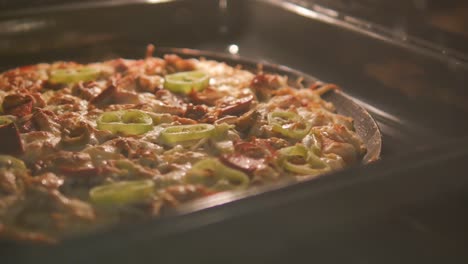 deliciosa pizza casera horneada en el horno