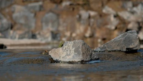 cerca de piedras en el curso de agua en un día soleado