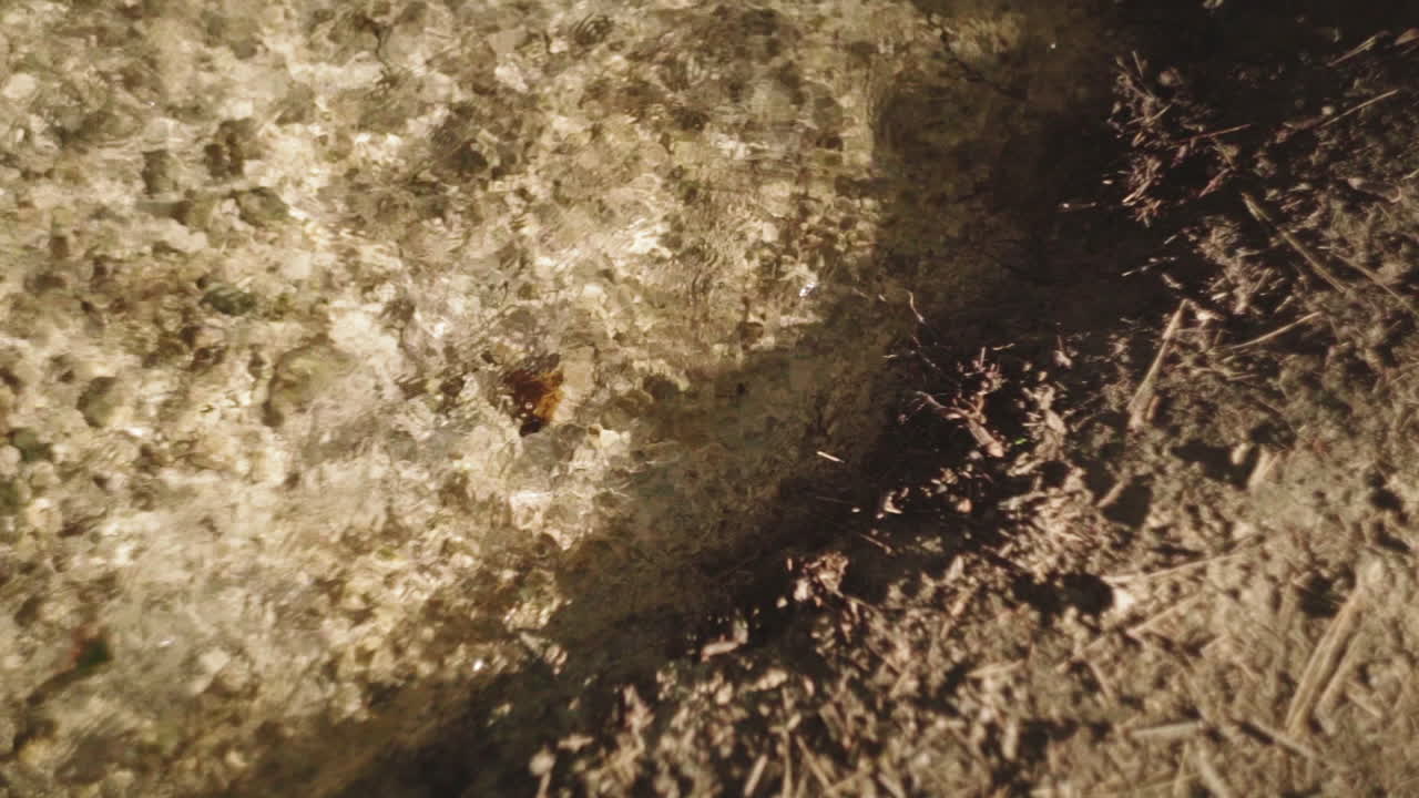 agua clara de un río que fluye en la naturaleza