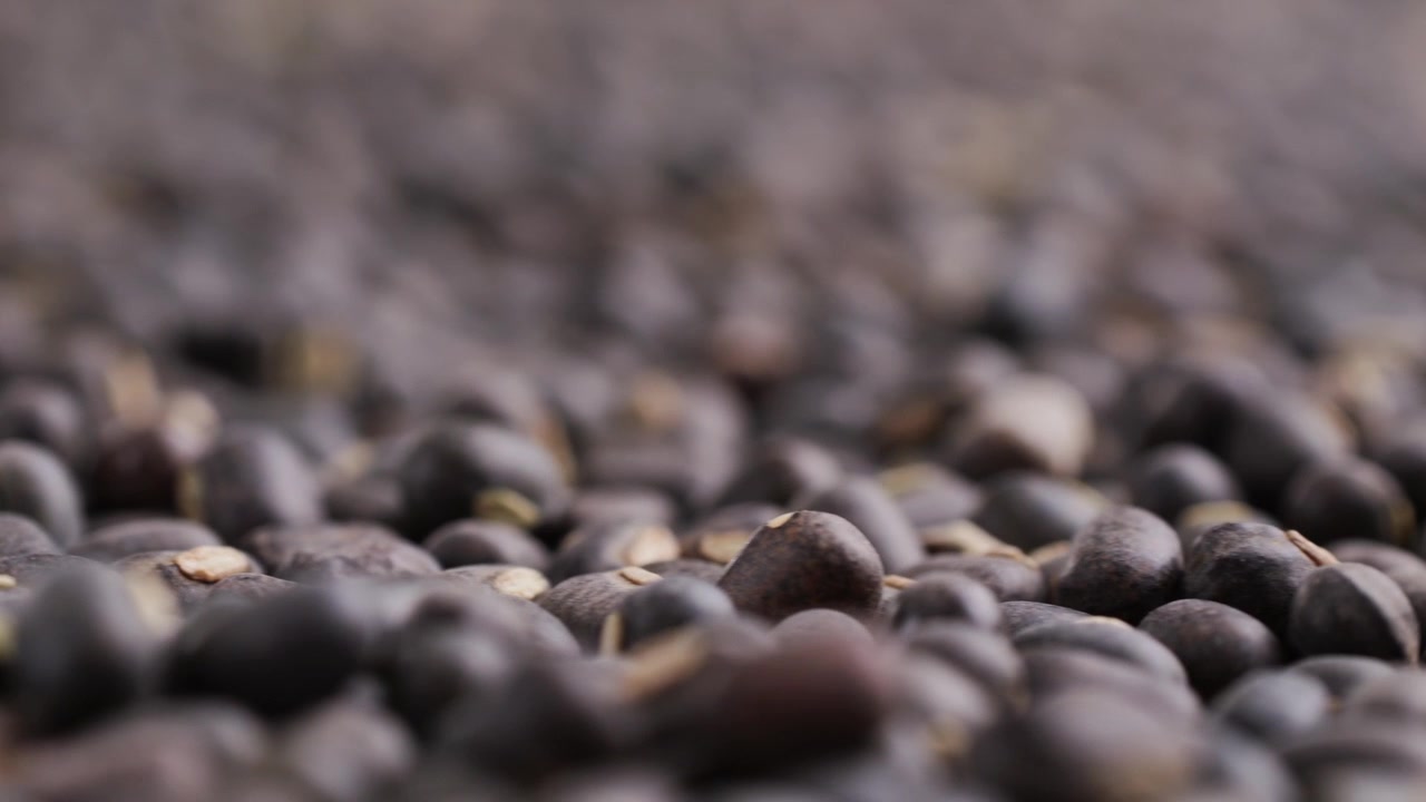 Primo piano di semi o fagioli scuri che si muovono lentamente