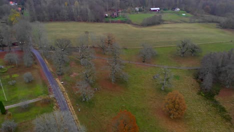 Aerial-flying-towards-old-oak-trees-in-countryside-area