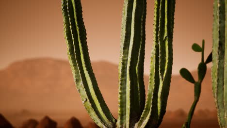 Atardecer-En-El-Desierto-De-Arizona-Con-Cactus-Saguaro-Gigante