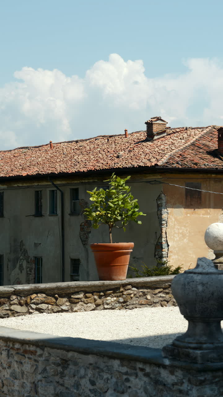 Edificio con tetto in terracotta e una pianta su un muro di pietra