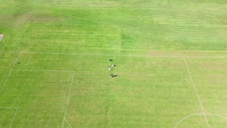 Family-man-with-his-dogs-enjoying-leisure-time,-exercising-pets,-aerial