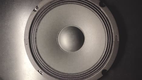 diaphragm of speaker vibrates when a speaker is used in high volume