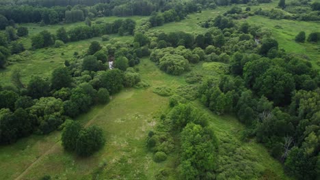 Zona-De-Protección-De-La-Biodiversidad