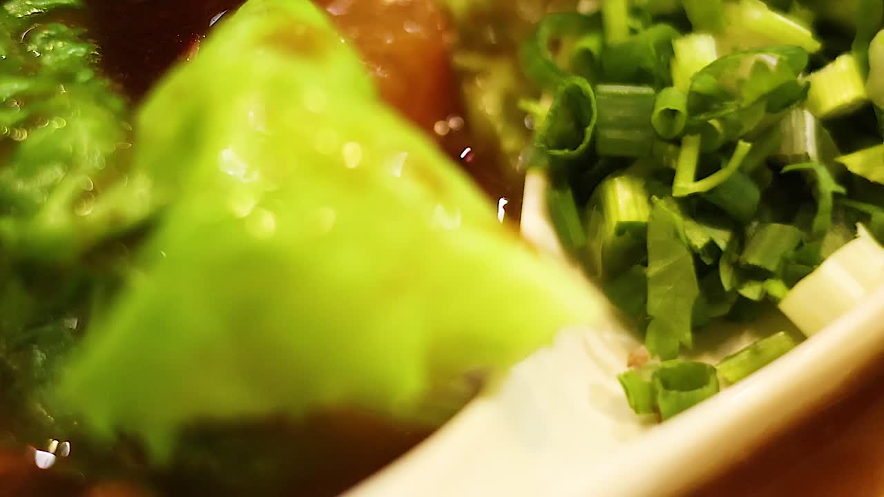 Close-up of a Chinese Soup with Dumplings