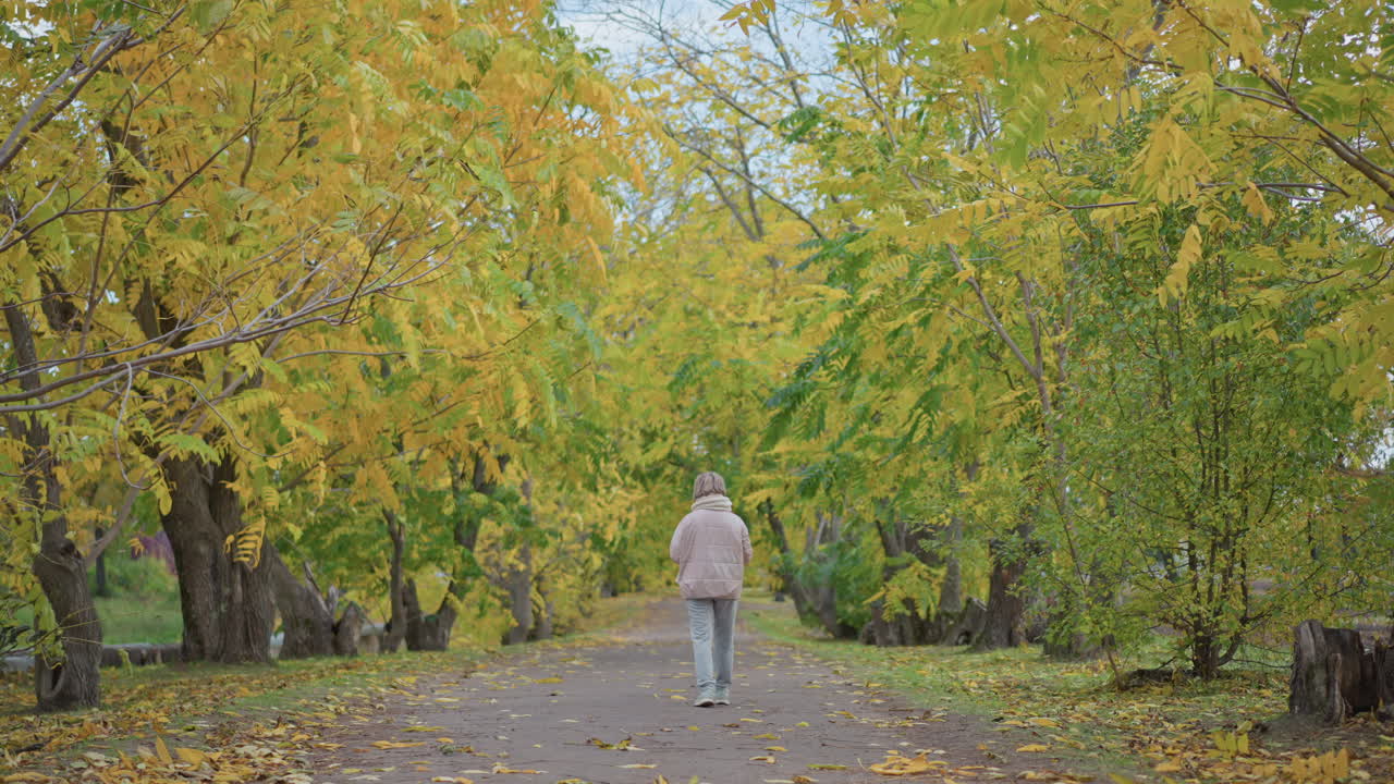 back view of woman strolling slowly through peaceful park path as wind stirs golden autumn foliage and scattered leaves fall to ground under soft natural light in tranquil outdoor forest setting
