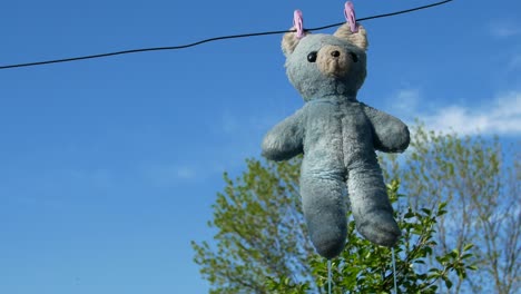 washing and drying the bear video a teddy bear hangs from a clothesline after a washing video