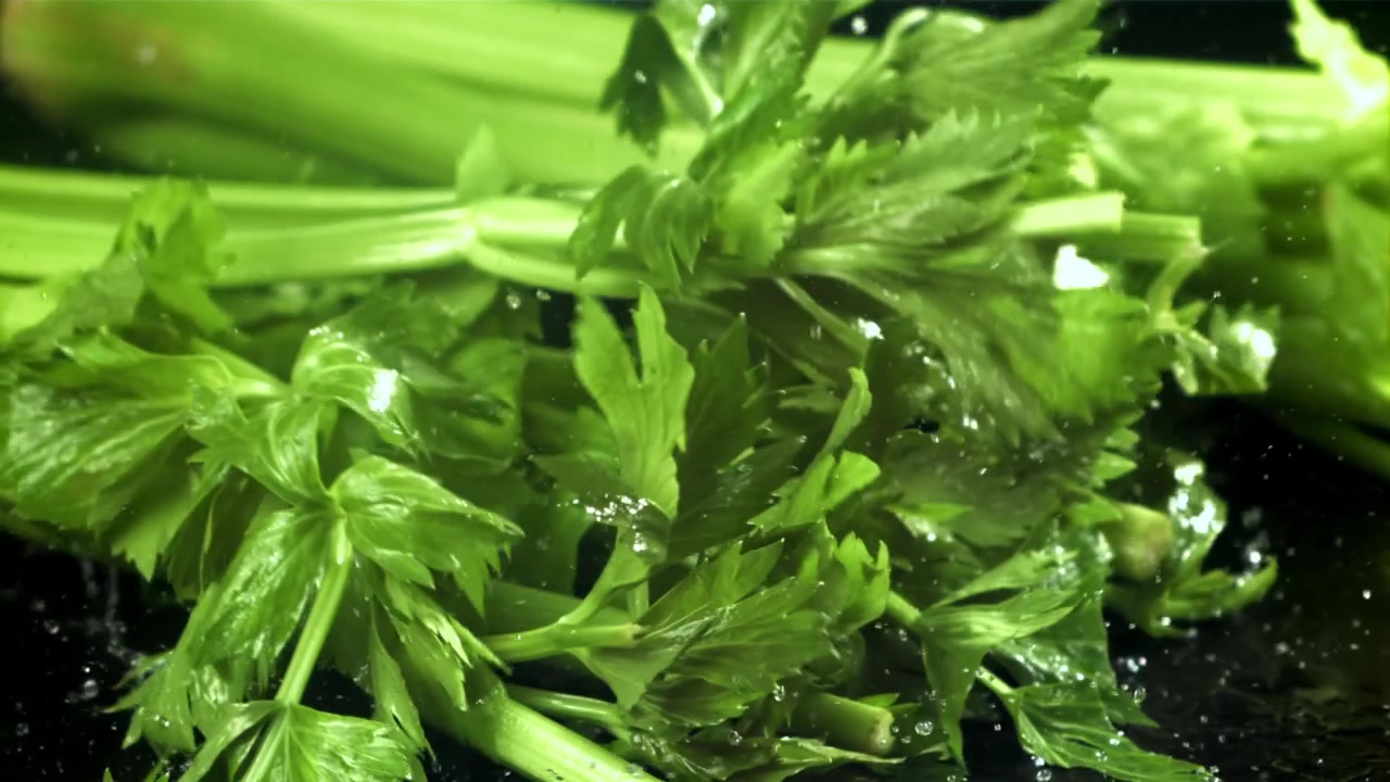 Slow Motion Water Droplets Falling on Fresh Green Celery