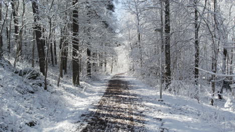 Snow-covered-forest-path-on-a-sunny-winter-day