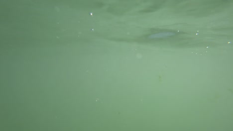 una chica nada en el mar en un anillo de goma.
