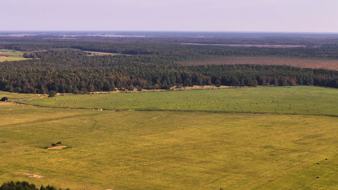Panoramic Aerial View Of Vast Agricultural Land In Kurzeme Region In Latvia.