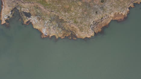 Grass-wetland-with-edge-of-land-and-water,-top-down