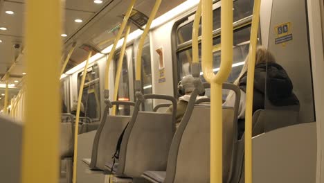 Passenger's-View-Inside-Train