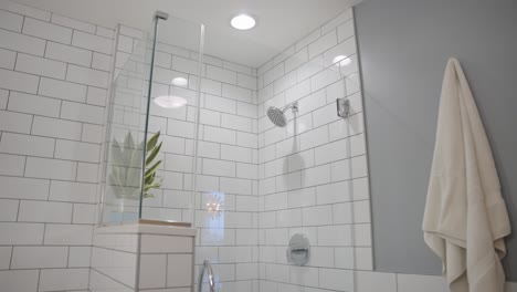 Ducha-Moderna-De-Azulejos-Blancos-Con-Cabezal-De-Ducha-Y-Planta-En-Un-Condominio-De-Baño