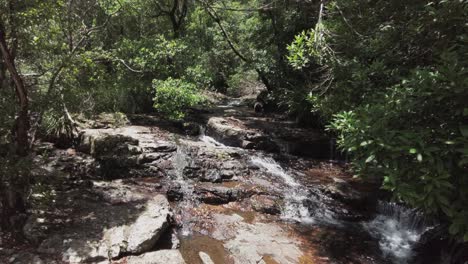 Agua-Dulce-Que-Fluye-Por-Rock-Creek-En-El-Bosque-Brillante-Día-Soleado