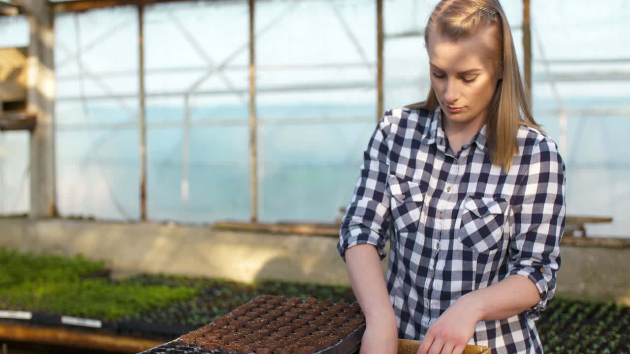 joven botánica examinando una planta en maceta 10