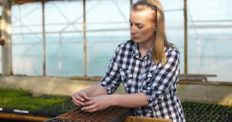 Young-Female-Botanist-Examining-Potted-Plant-10