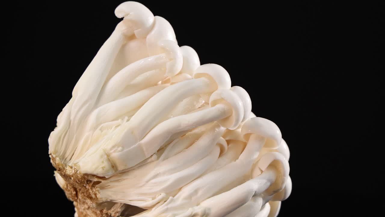 A cluster of white beech mushrooms spins smoothly against a black backdrop, illuminated with soft, even lighting for detailed texture and form