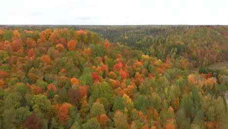 autumn landscape of the autumn bright multi-colored trees, green, orange and reddish tint