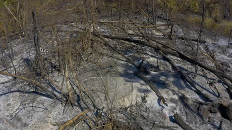 destruction in the amazon rain forest caused by bushfires and drought from climate change - aerial