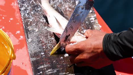 manos escamando peces en un barco en phuket