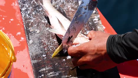 hands scaling fish on a boat in phuket