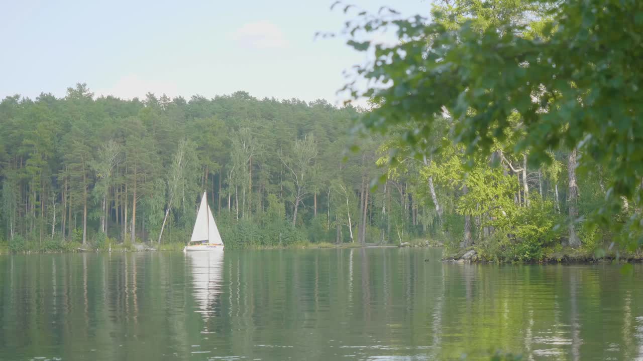 парусная лодка на спокойном озере, окруженном лесом