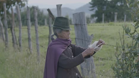 slowmotion shot of an elderly colombian farmer stretching out a material