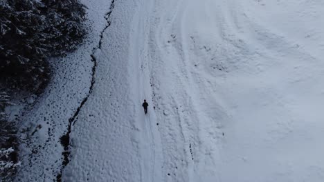 Man-walking-along-the-edge-of-a-snowy-forest