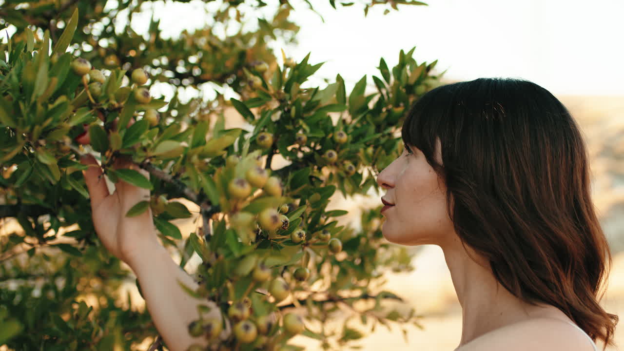 양배추 나무 를 만지는 여자