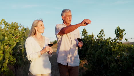 una pareja de ancianos degustando vino en el viñedo.