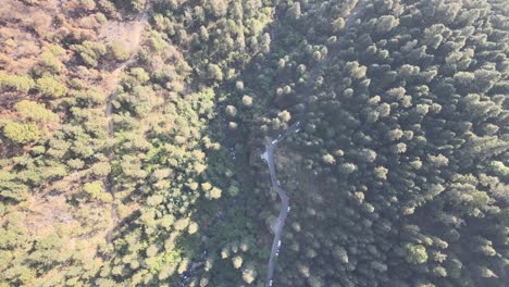 vista aérea de un río y una carretera en medio del bosque