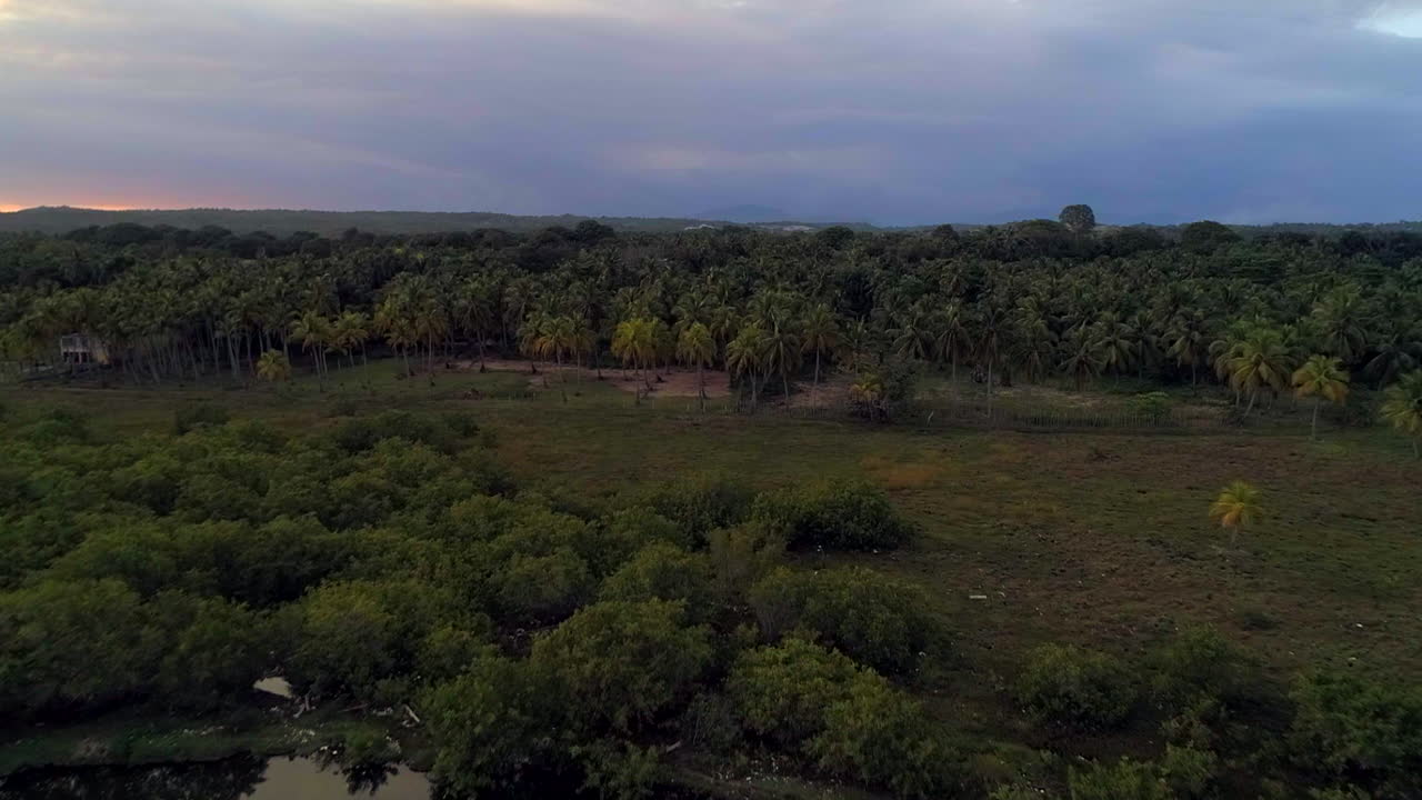 Backward, drone shot - Aerial view around mangrove trees on the coast of Los Cuadritos beach, in San Cristobal