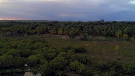 Hacia-Atrás,-Tiro-De-Drone---Vista-Aérea-Alrededor-De-árboles-De-Mangle-En-La-Costa-De-La-Playa-De-Los-Cuadritos,-En-San-Cristobal