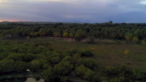 hacia atrás, tiro de drone - vista aérea alrededor de árboles de mangle en la costa de la playa de los cuadritos, en san cristobal
