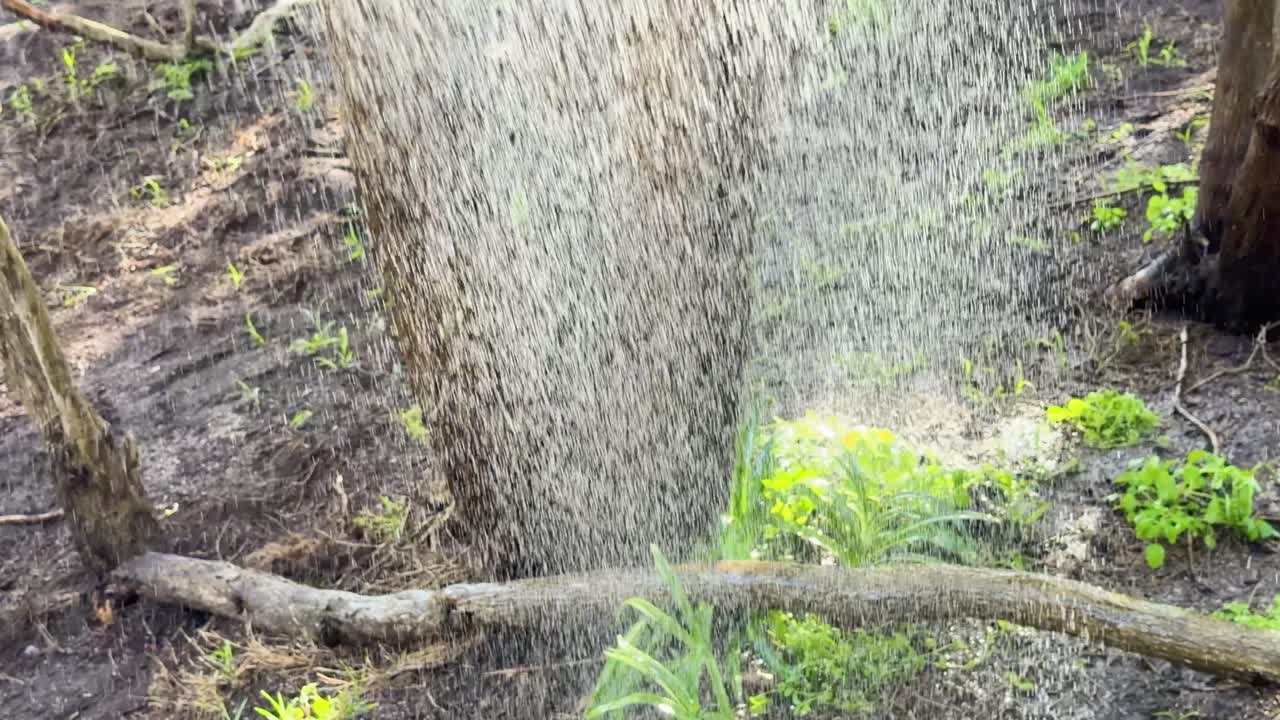 Water droplets spray over garden soil and green plants, sunlight highlighting moisture and irrigation