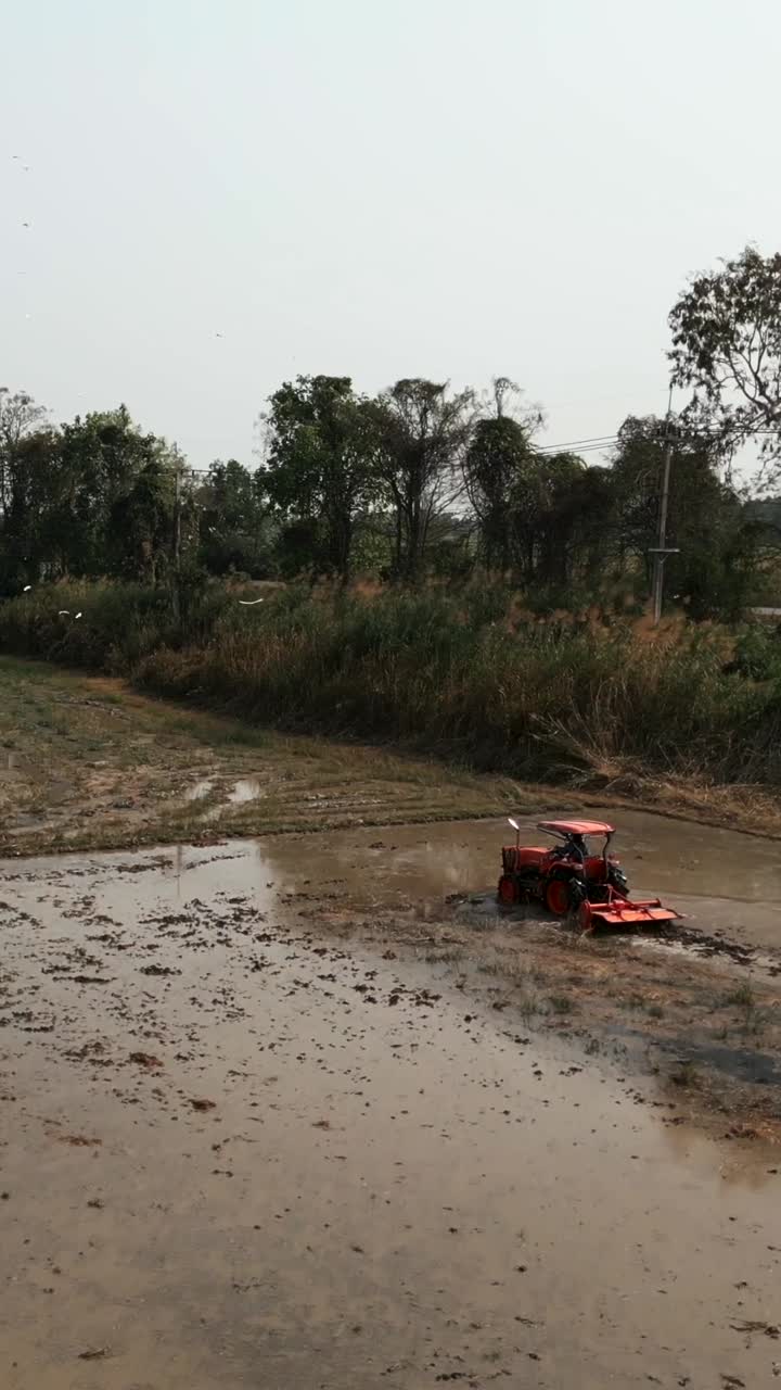 Trattore al lavoro in una risaia