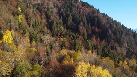 Toma-De-Un-Dron-De-Una-Colorida-Montaña-Otoñal-Cubierta-De-Bosque