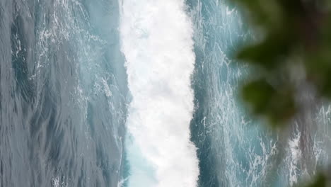 rugged coast, wind blowing plants and powerful waves in background, rack focus