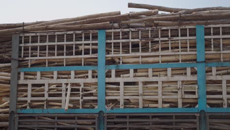 truck carrying logs