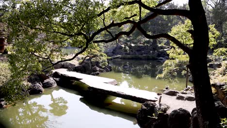 time-lapse of a serene garden pond scene