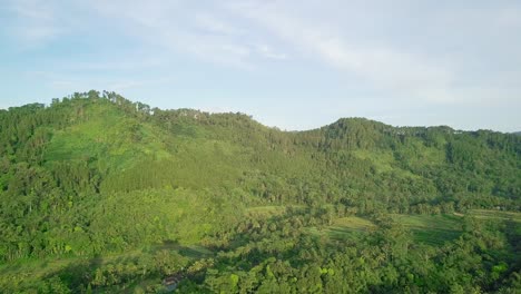 slow aerial forward flight towards green hills with growing tropical trees and plants against blue sky - lush mountain landscape in asia